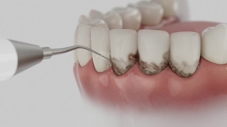 Reliable Dental contractor in Glades County County, FL by Dentist Open Now